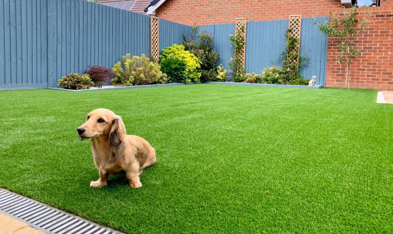 Pet-safe artificial grass with advanced drainage system in Novato, CA